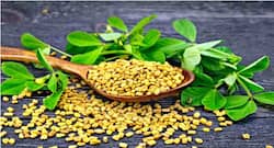 5 amazing health benefits of methi seeds