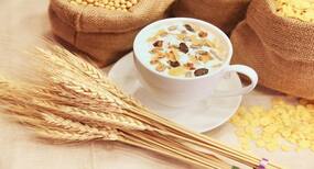 Weight Loss: नाश्ते में खाएं कच्चा ओट्स
