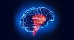 Are you above 50? Quit smoking and start exercising to reduce your risk of stroke