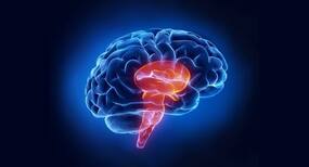 Are you above 50? Quit smoking and start exercising to reduce your risk of stroke