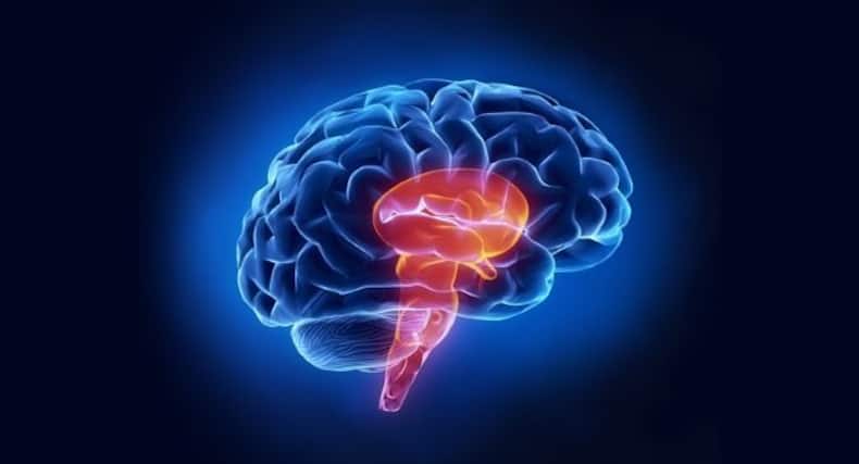 thehealthsite.com top news