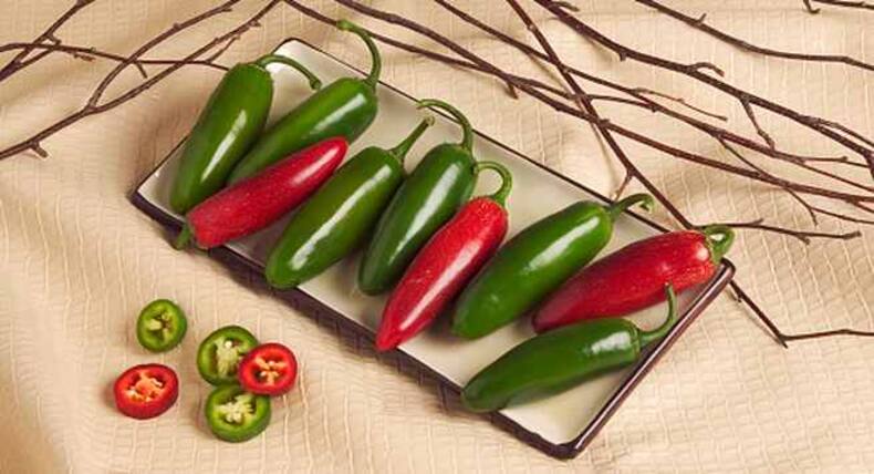 Weight Loss Tip: बिना एक्सरसाइज़ और डायट के भी हो सकता है वेट लॉस, अपनाएं ये स्मार्ट तरीके