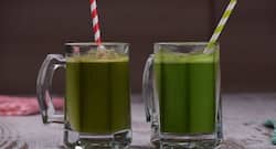5 nutrient-dense green juices to boost your health during summer