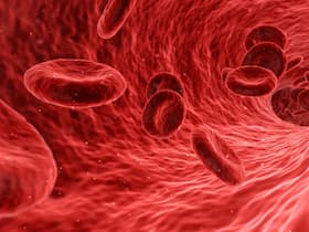 Anemia: एनीमिया क्या है? जानें इसके बचाव।