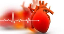 What Are The Different Environmental Factors That Affect Heart Health?