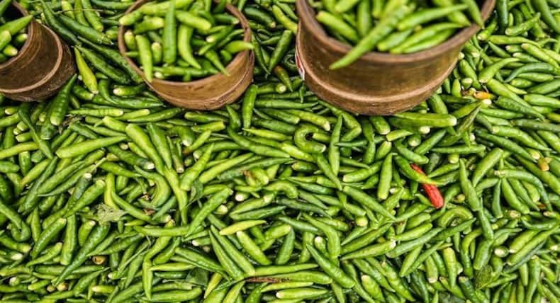 5 amazing veggies that may reduce your risk of premature delivery
