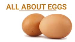 Watch this video to fall in love with eggs all over again