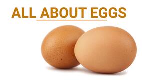 Watch this video to fall in love with eggs all over again