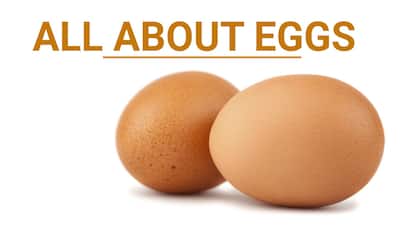 Watch this video to fall in love with eggs all over again