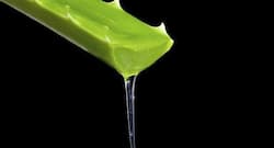 5 amazing beauty benefits of aloe vera