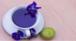 Blue Tea Benefits, ब्लू टी पीने के सेहत को होते हैं ये 11 फायदे