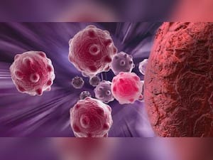 What Are Significant Risk Factors For Majority Of Blood Cancer Cases?