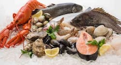 Harvard Diet: Nutritionist List Food Items For A Healthy Eating Plan