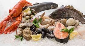 Harvard Diet: Nutritionist List Food Items For A Healthy Eating Plan