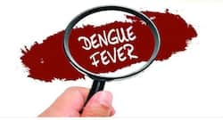 Dengue: Know all about this mosquito-borne disease