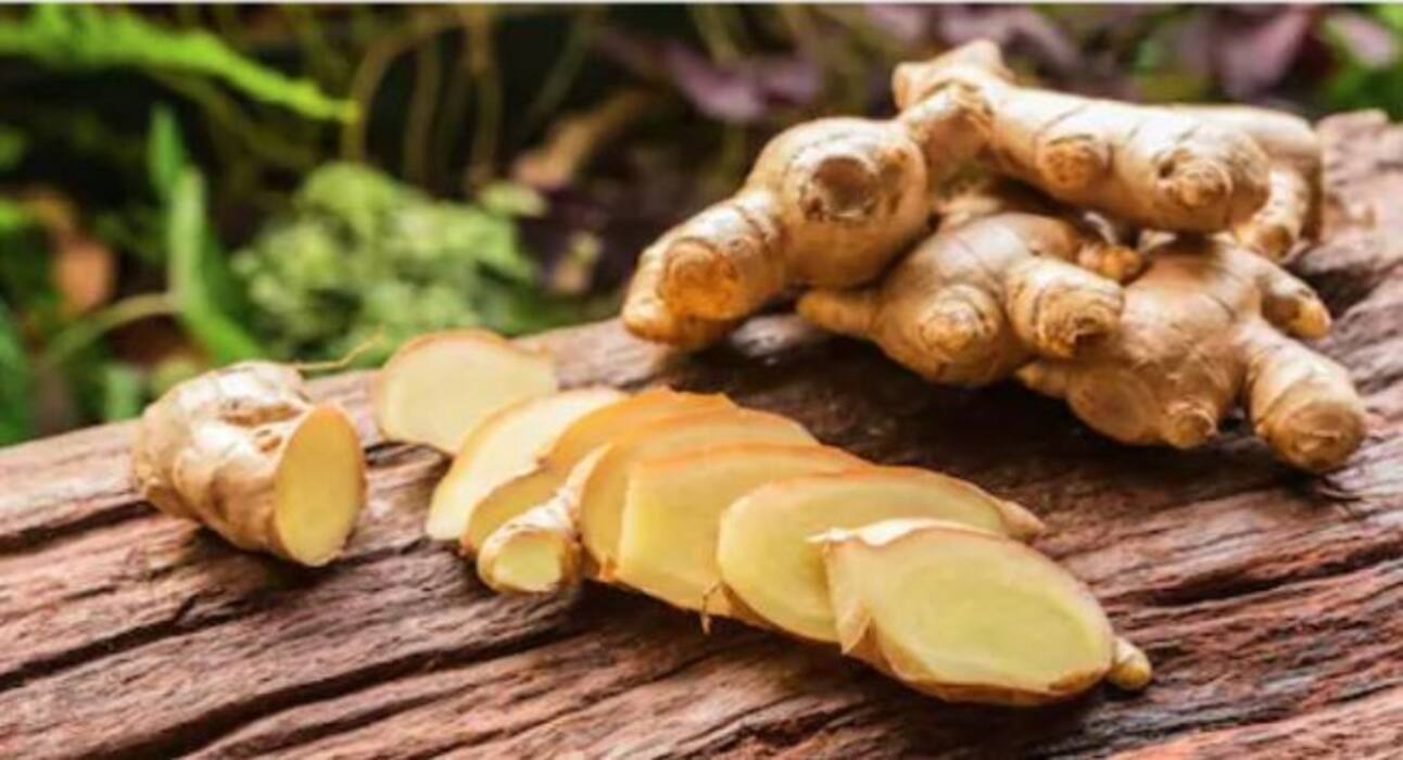 5 detox foods to cleanse your body