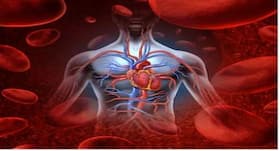 Yoga to improve blood circulation, योगासन जो ब्लड सर्कुलेशन सुधारे, शरीर में ब्लड सर्कुलेशन बाधित होने के कारण