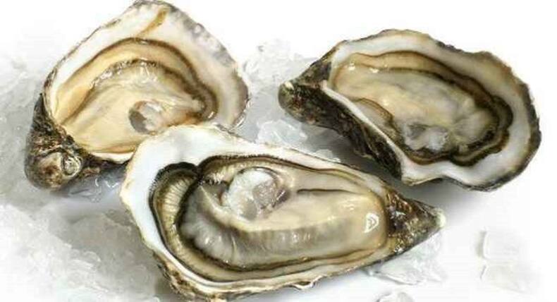 5 Best Seafood Choices For A Vitamin B12 Boost
