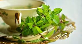 Mint Benefits in Hindi, गर्मी में पुदीना खाने के फायदे, पुदीना का पानी पीने के लाभ