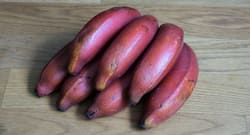 Health Benefits of Red Banana: कई बीमारियों के लिए रामबाण है लाल केला