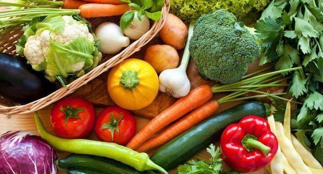 veg diet