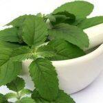 Tulsi