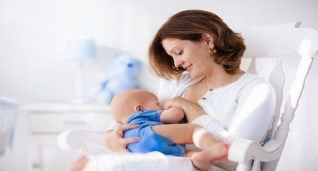 breast holder for breastfeeding