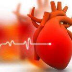 Heart