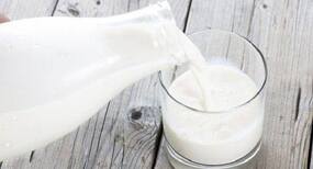 Never drink raw milk without keeping it in the refrigerator – Here’s why Never drink raw milk without keeping it in the refrigerator – Here’s why