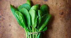 इम्यूनिटी बढ़ाने के लिए पालक खाएं, पालक खाने के फायदे।