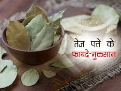तेज पत्ते खाने के फायदे और नुकसान क्या हैं?