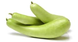 लौकी ही नहीं इसका छिलका भी है गुणकारी, स्किन की इन समस्याओं से दिलाता है छुटकारा