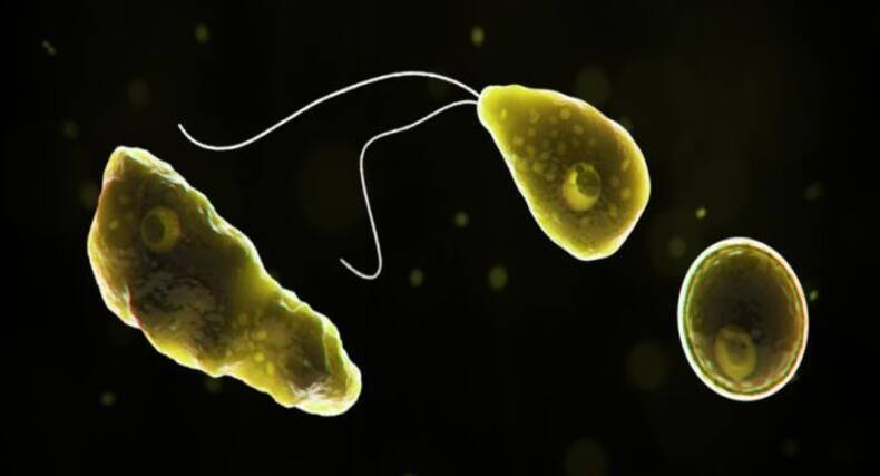 thehealthsite.com top news