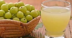 Amazing health benefits of the Indian gooseberry