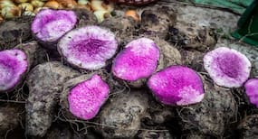 Purple Yam Benefits in Hindi, मानसून में बैंगनी जिमिकंद/पर्पल याम खाने के सेहत लाभ, सूरन के फायदे
