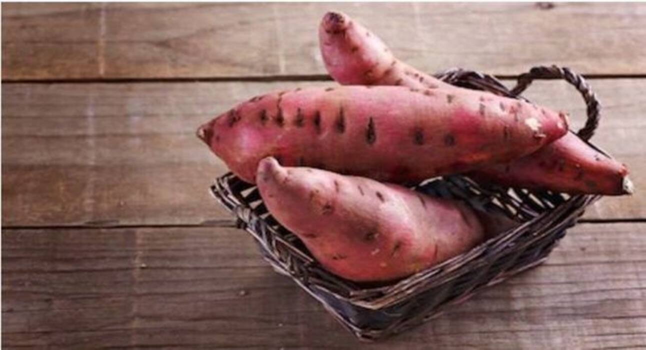 Best fibre-rich foods that you must include in your breakfast