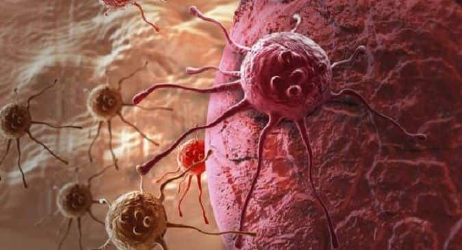 Cancer treatment breakthrough: DGLA fatty acid can kill malignant cells