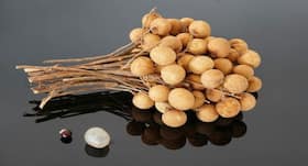 Longan in Hindi, लीची की तरह दिखने वाला लौंगन फल के फायदे, लीची खाने के लाभ Longan in Hindi, लीची की तरह दिखने वाला लौंगन फल के फायदे, लीची खाने के लाभ
