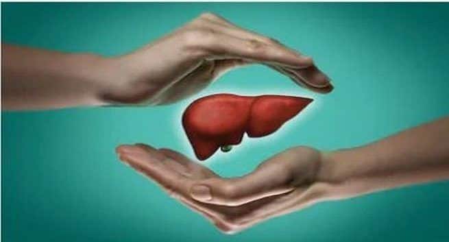 liver-