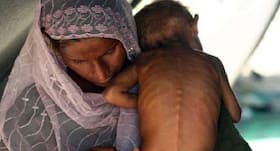 NIFTEM Partners With GAIN, Hexagon Nutrition To Eradicate Malnutrition In India
