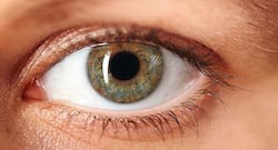 Retinal vein occlusion: New eye drops may prevent this common cause of blindness