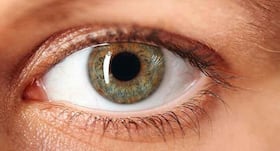Retinal vein occlusion: New eye drops may prevent this common cause of blindness