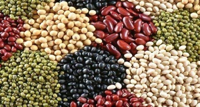 Legumes