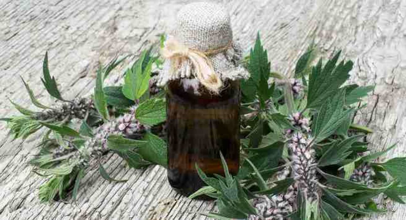 Healing herbs that help you deal with grief and sorrow