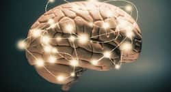 5 Super Foods That Boost Memory And Brain Power