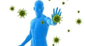 Gut reaction: How eating may activate immune reaction in your body