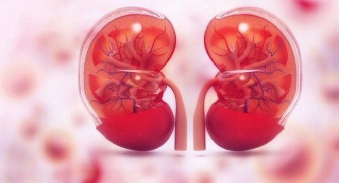 Kidney disease increases a COVID-19 patient's risk of death by three times  | TheHealthSite.com