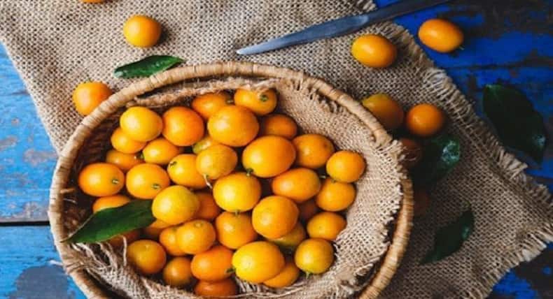 5 फूड्स जिनसे मिलती है दमकती त्वचा, ग्लोइंग स्किन के लिए रोज़ करें सेवन