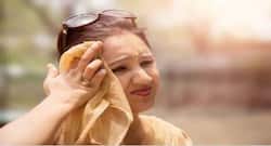 Summer herbs to keep you healthy during the hot and sultry months