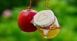 सेब के सिरके से हड्डियां हो सकती हैं खोखली, जानें क्या हैं इसके नुकसान